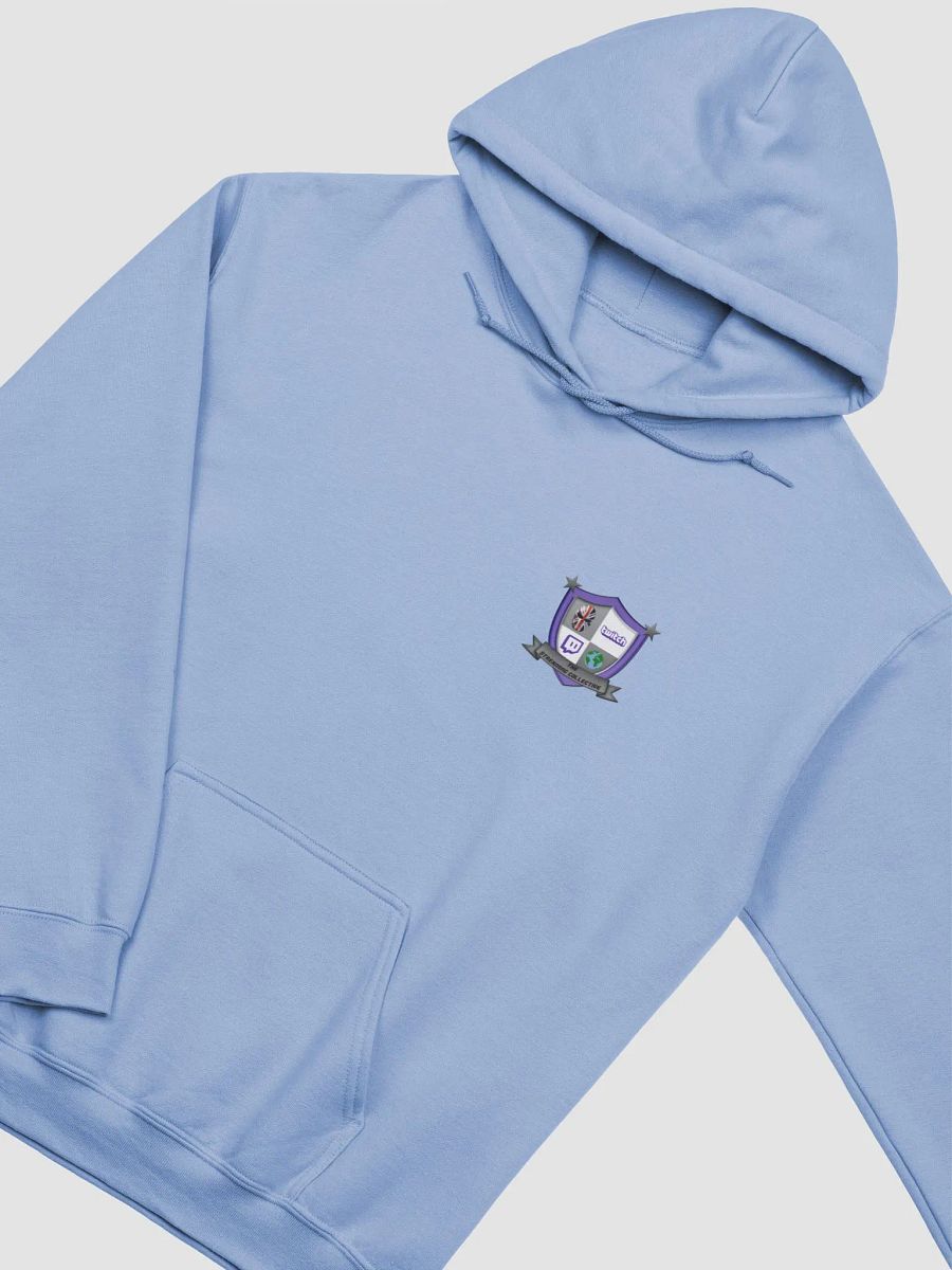 The Streaming Collective - Gildan Classic Hoodie product image (4)