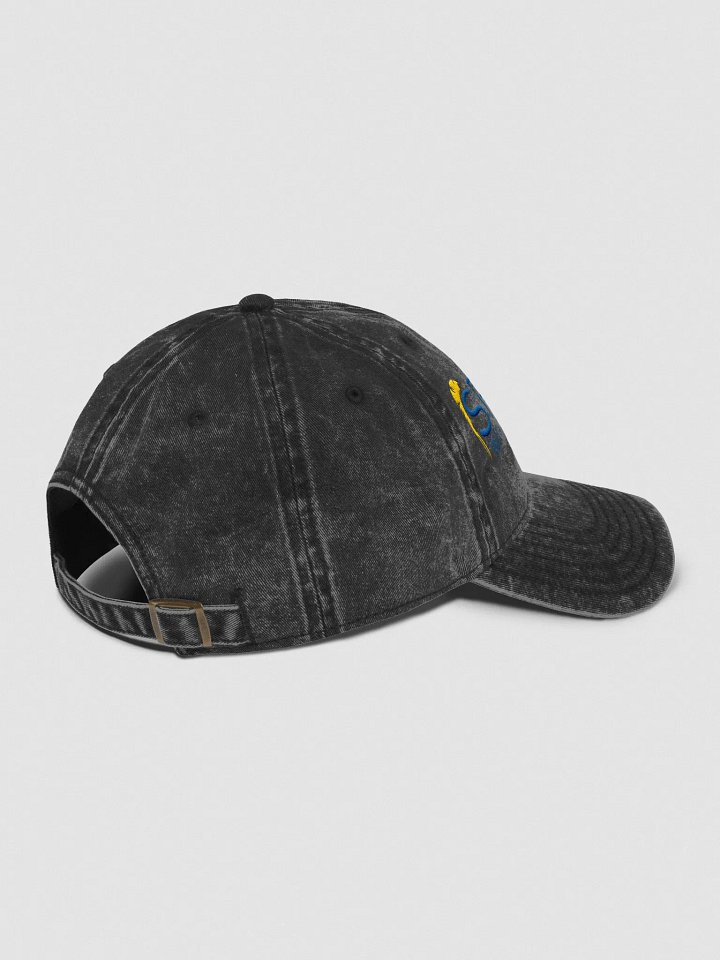 SW Vintage Wash Hat product image (1)