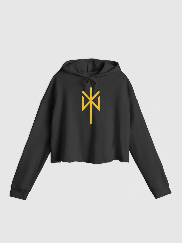 SIGNATURE AE BIND RUNE CROP HOODIE product image (1)