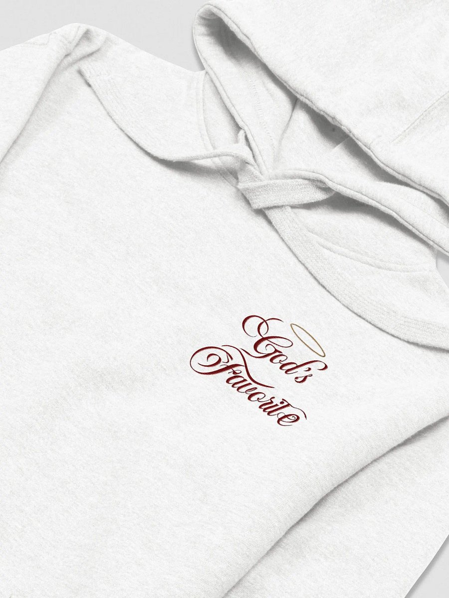 Embroidered Hoodie - God's Favorite (NO WINGS) product image (3)