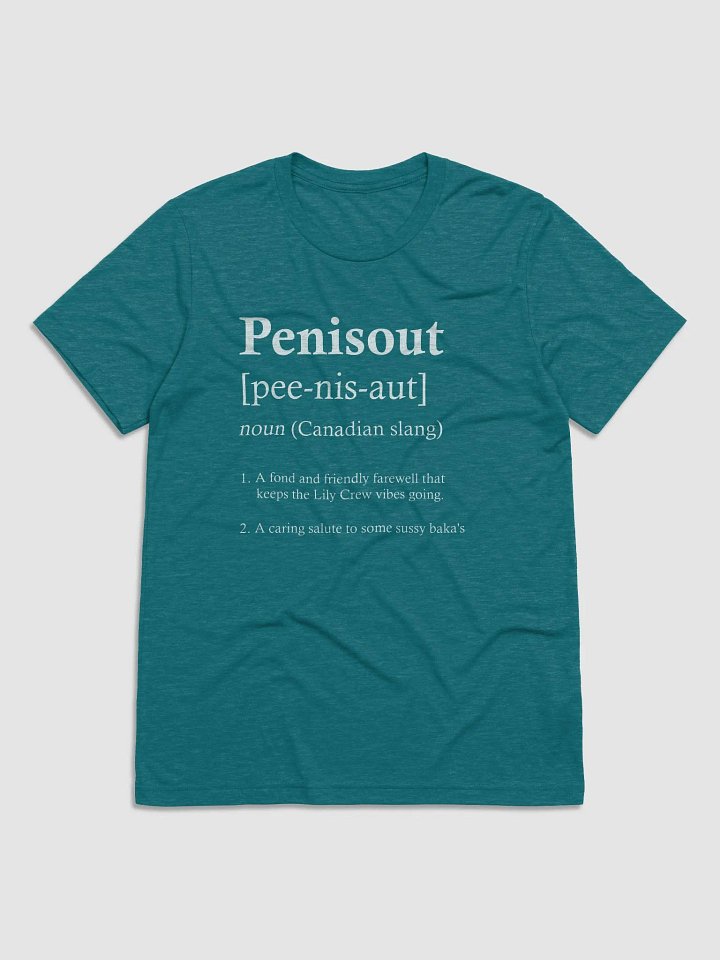 P***sout ~ Bella and Canvas Triblend Short Sleeve T-Shirt product image (5)