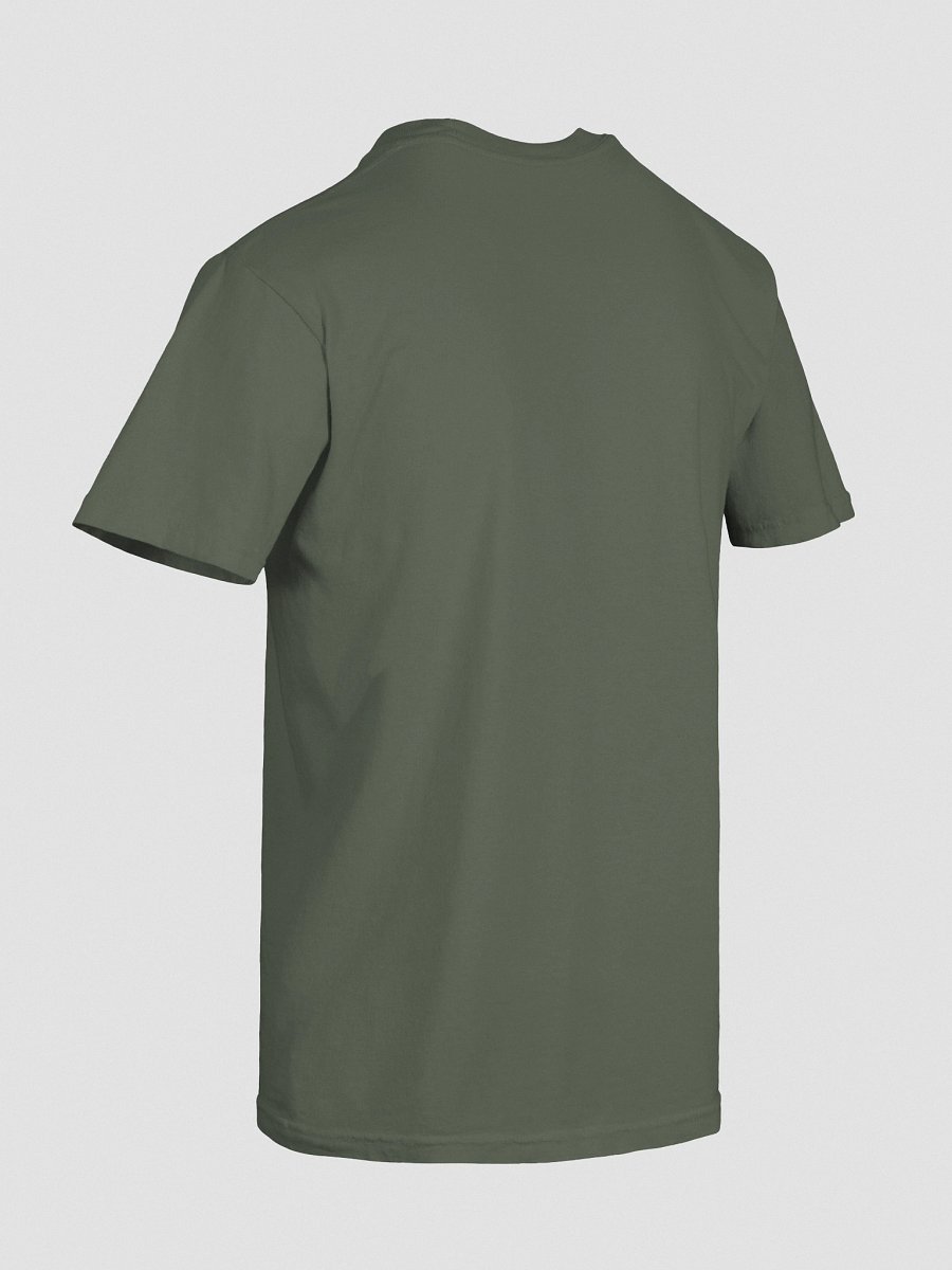 No Hair, Don't Care T-Shirt(Embroidered) of an American Hairless Terrier(Brown & White) product image (56)