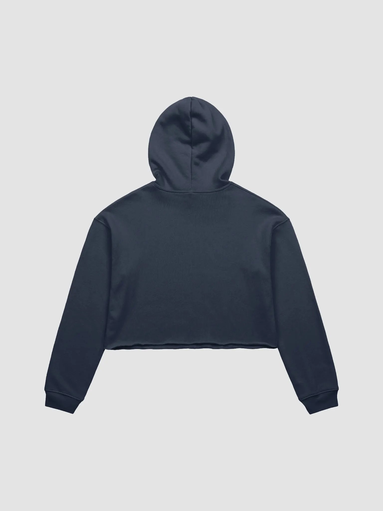 *not* mentally linear (lined design, #BDCAEF) fleece cropped hoodie product image (19)