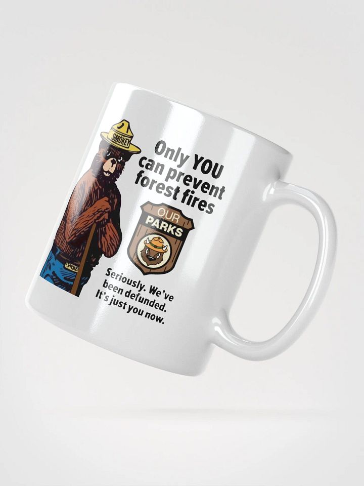We've been DEFUNDED Smokey Our Parks Bear Coffee Tea Mug 3 SIZES! Ceramic Glossy White Cafe Cup product image (2)