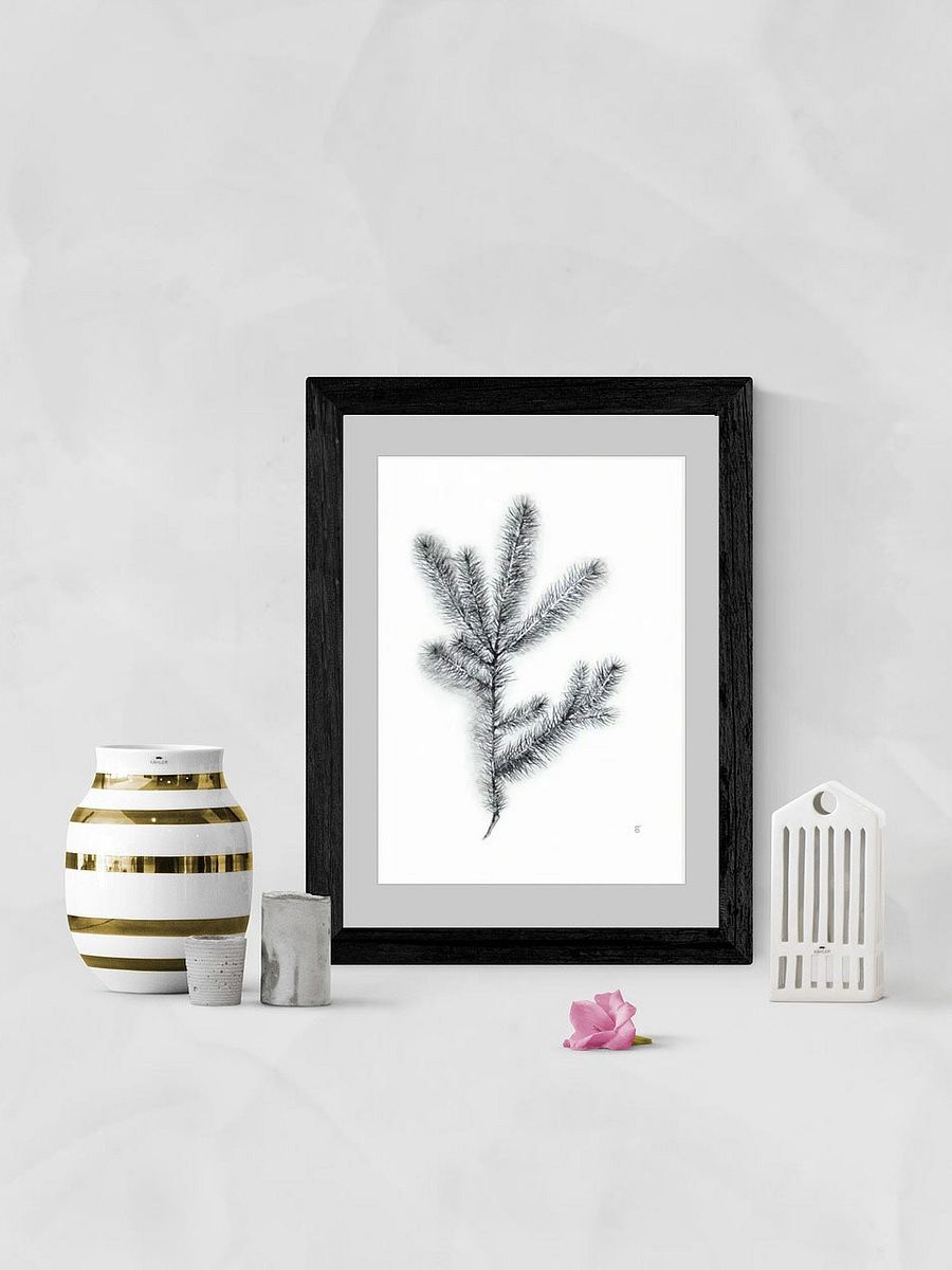 Whimsical Coniferous Branch Poster - Spruce Branch product image (6)