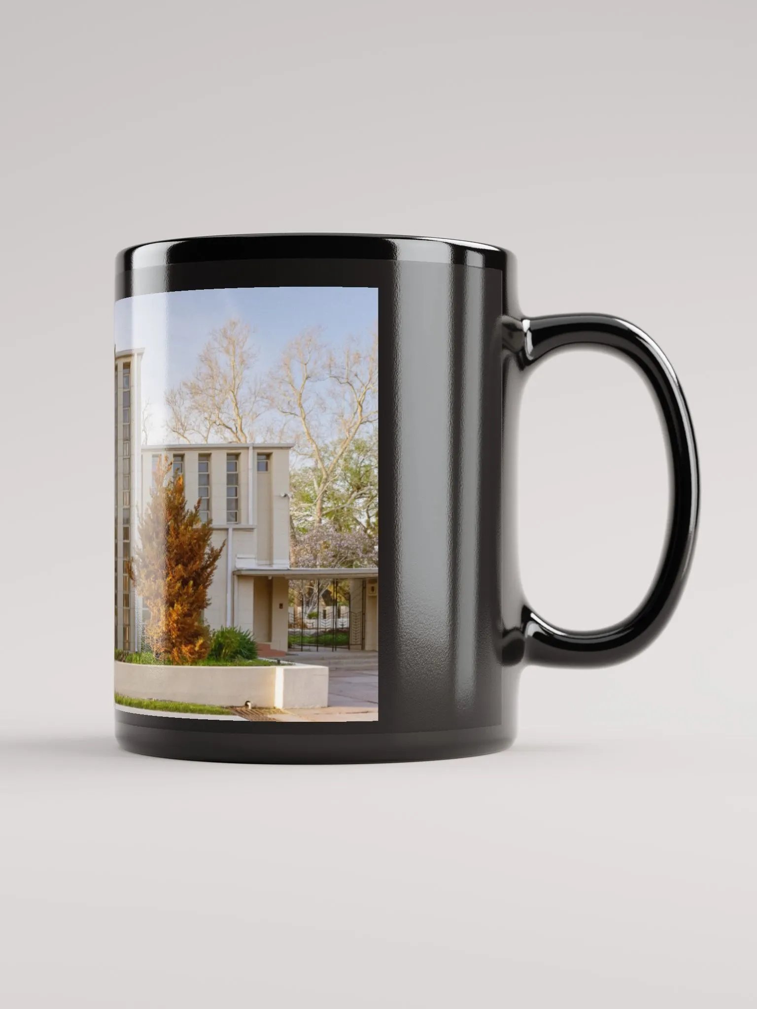 RICHARD LLOYD JONES HOUSE product image (1)