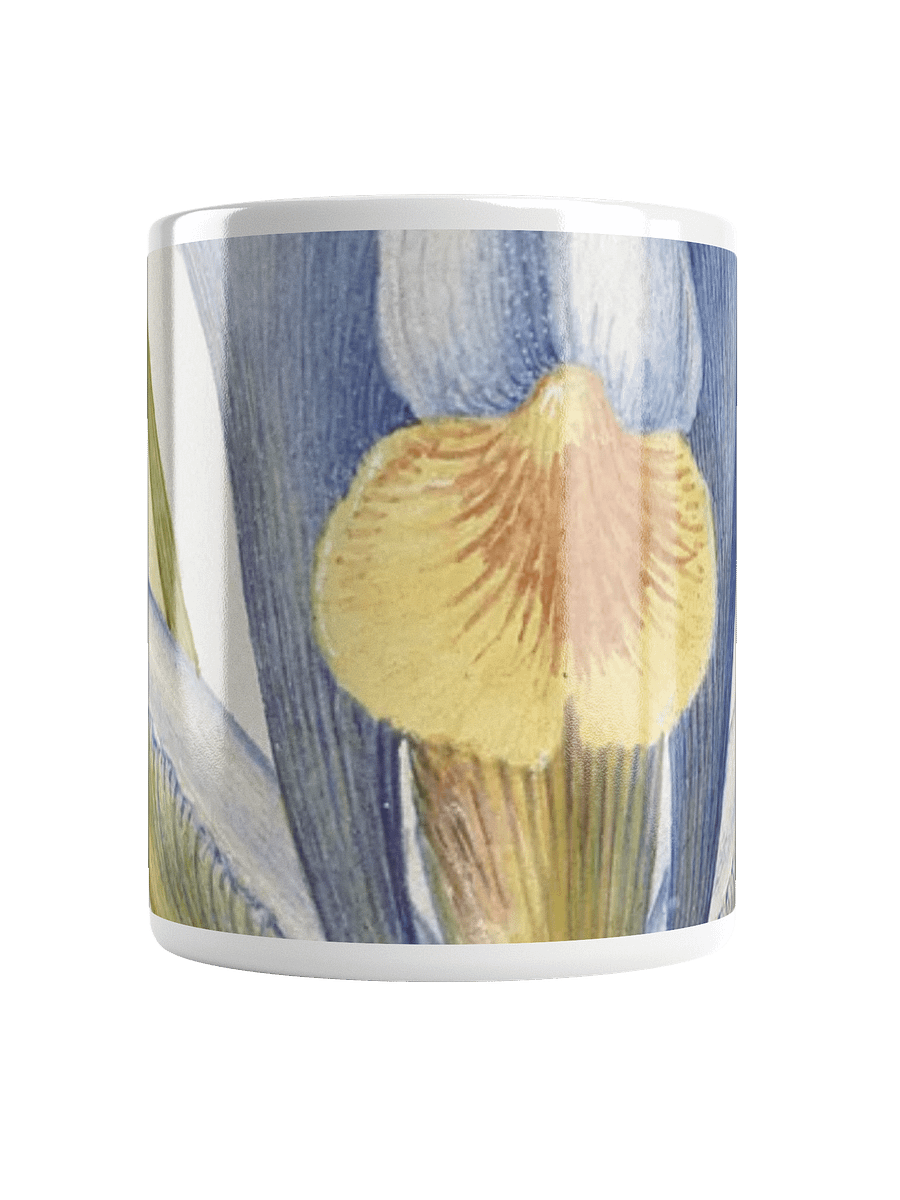 Iris and Snail Mug product image (5)