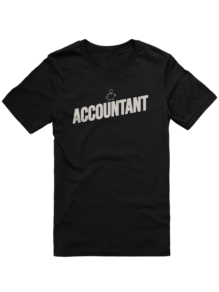 Accountant product image (1)