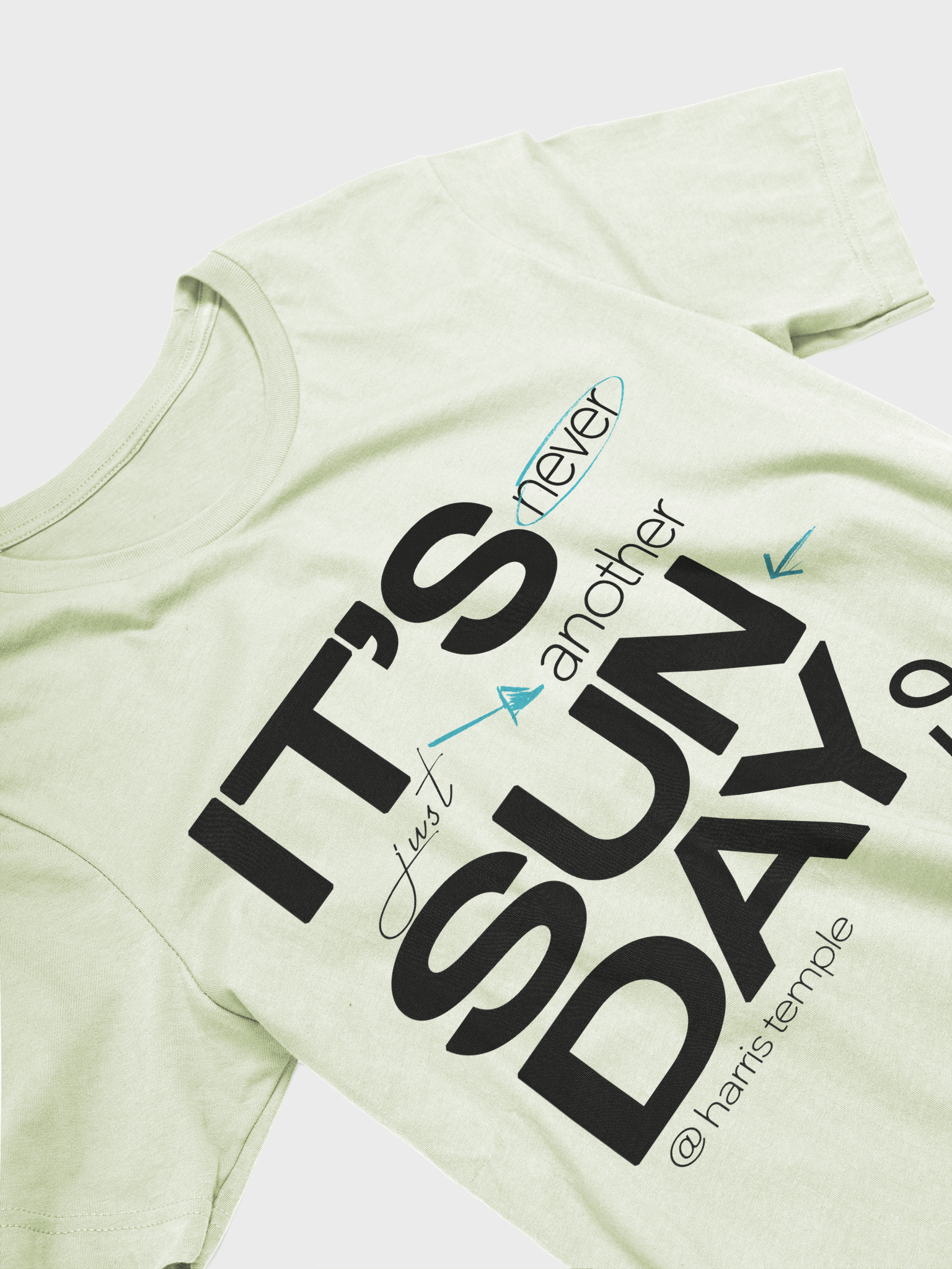 Elevate Your Style with Temple Merch Highlight T-Shirt product image (3)