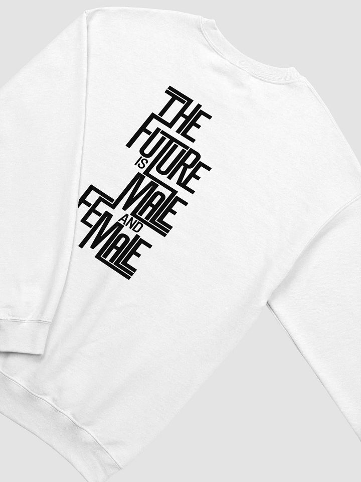 The Future Is Male & Female: Sweatshirt product image (1)