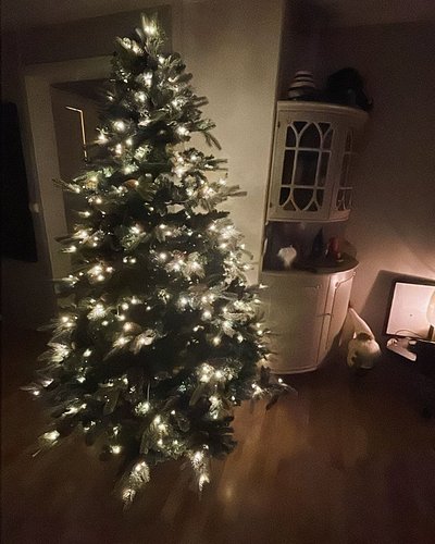🎄 so pretty