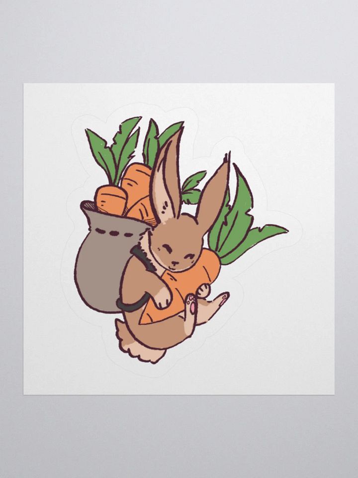 Bunny hug product image (1)