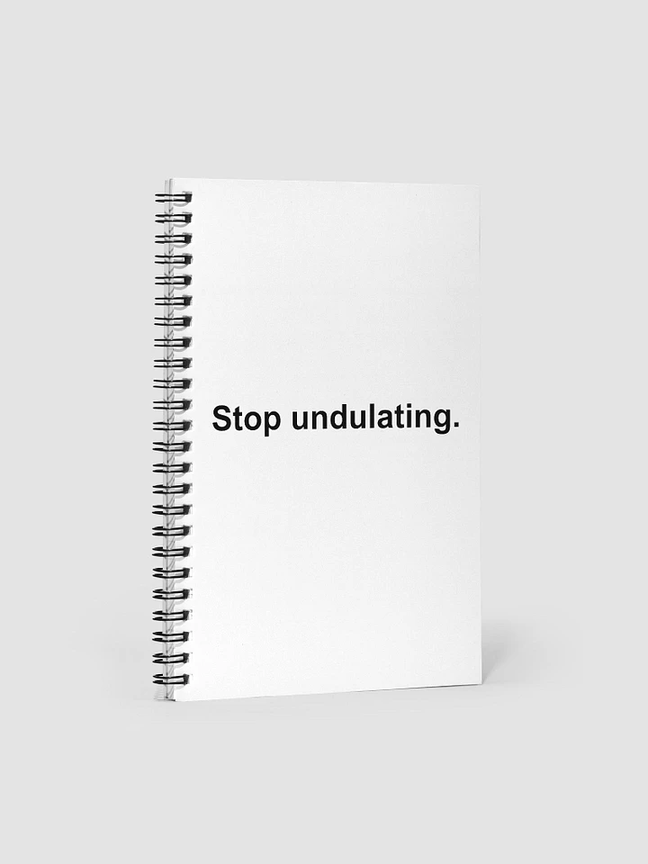 Stop Undulating Notebook product image (1)