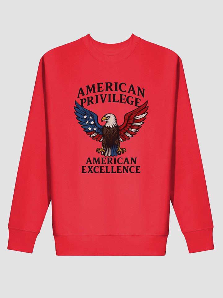 American Pride Patriotic Sweatshirt product image (4)