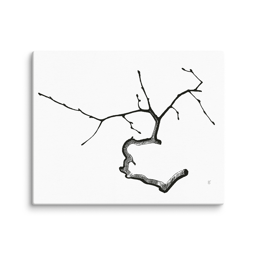 Branching Out Canvas Collection - Elegant Twig product image (1)