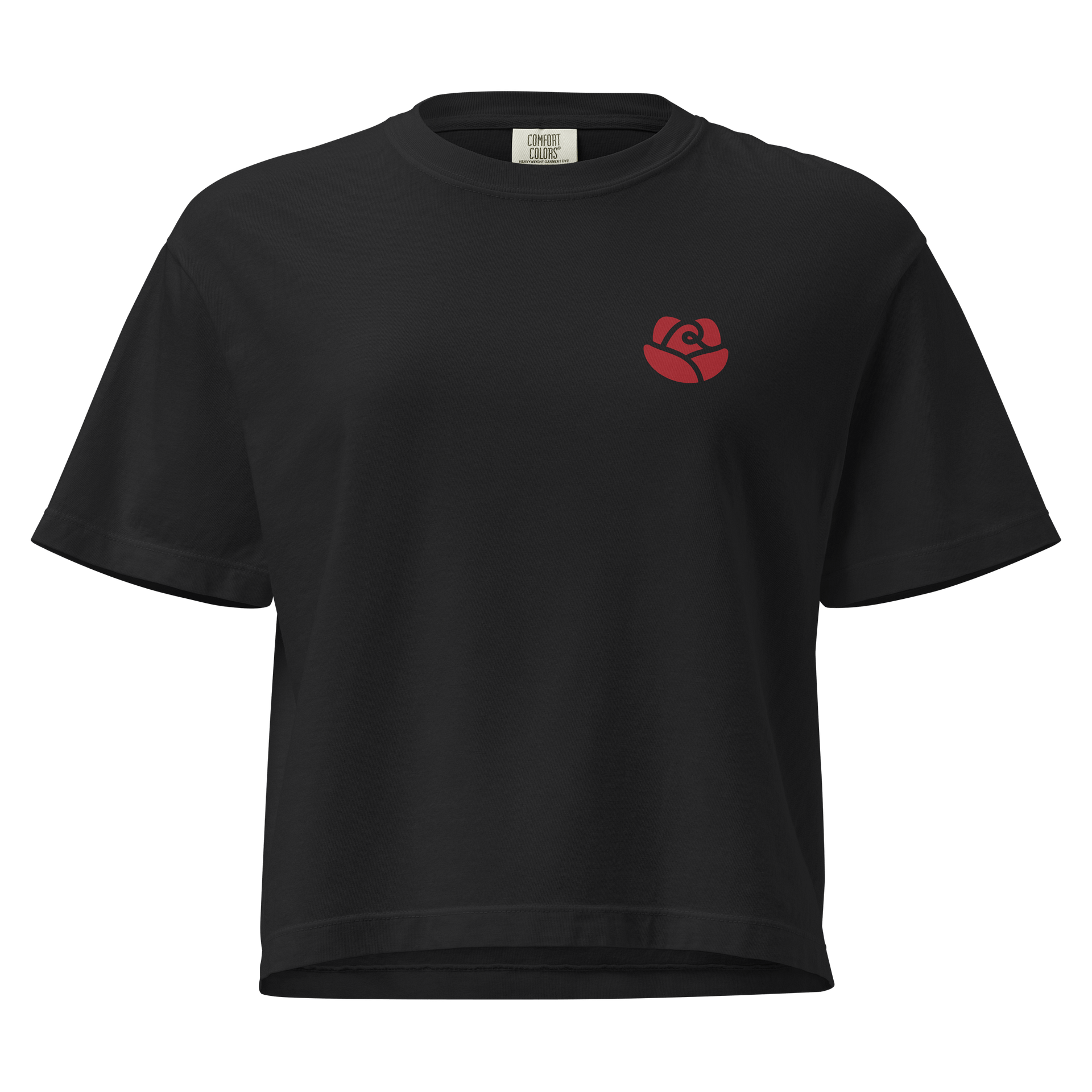 Comfort Colors Women's Heavyweight Boxy T-Shirt product image (3)