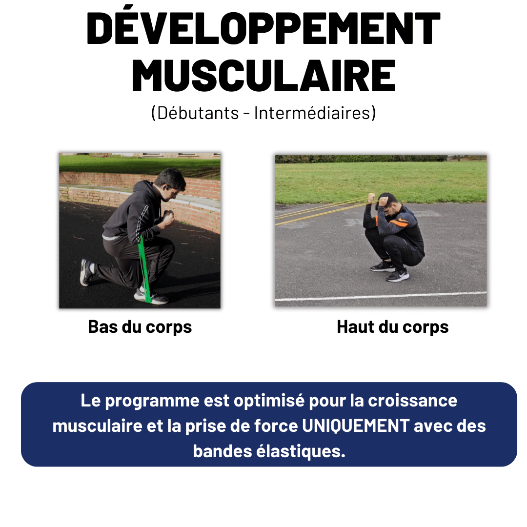 [Programme] Balèze aux élastiques NIVEAU 2 (niveau 1 offert) product image (2)