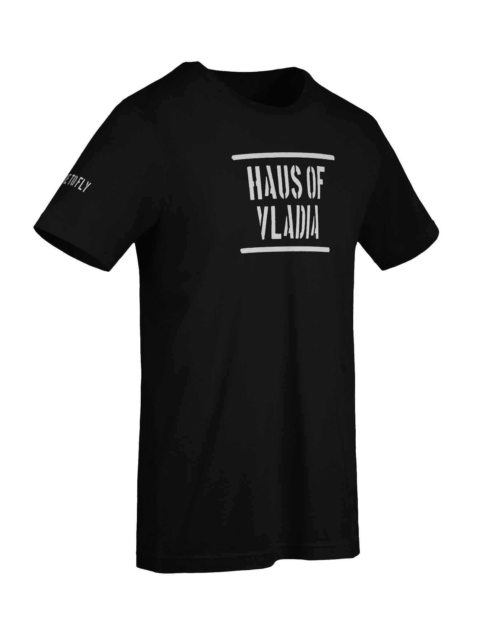 Haus Logo Tee product image (4)