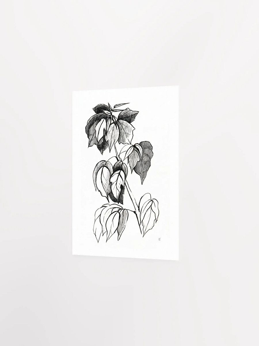 Botanical Bliss Matte Poster - Stylish Graphical Twig product image (2)