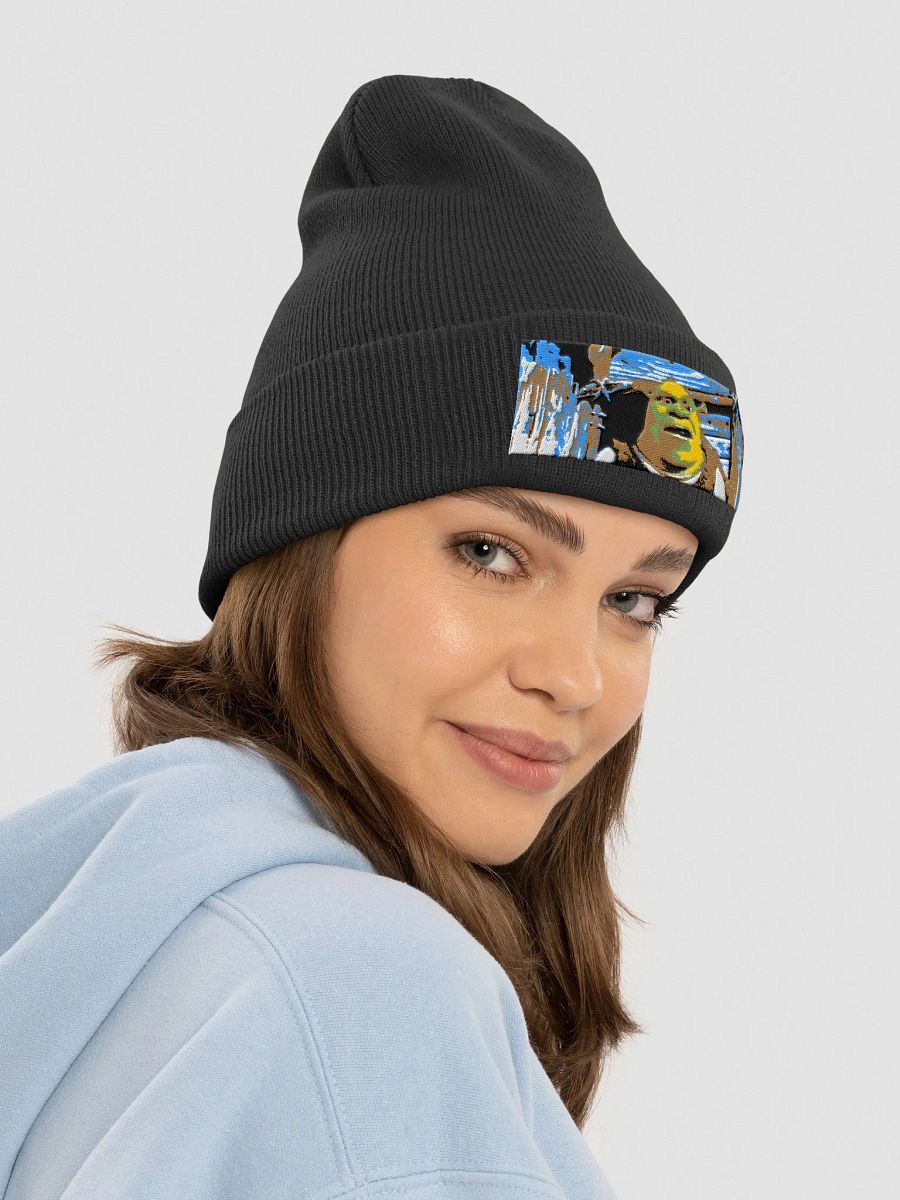 Shrek hat product image (4)