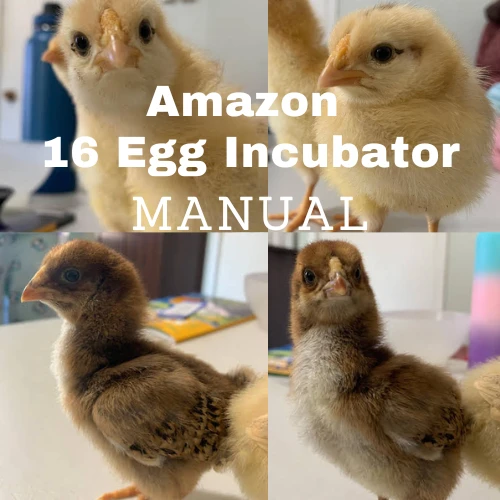 Amazon 16 Egg Incubator Instructions product image (1)
