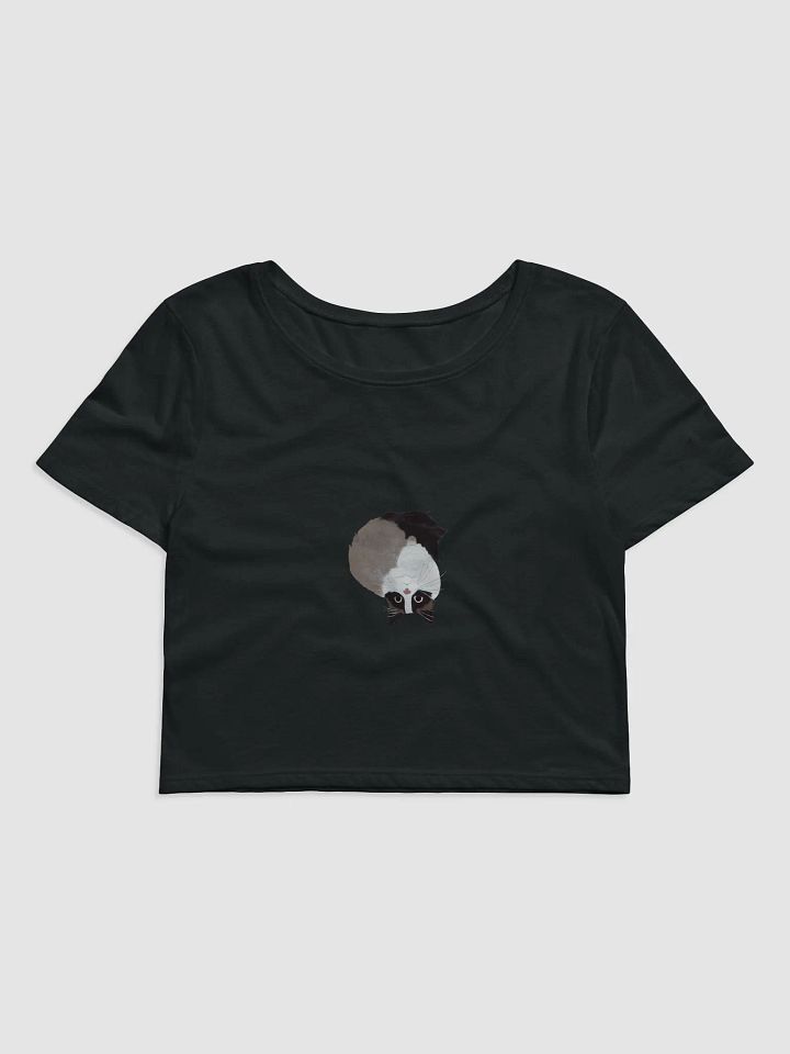 Upside Down Cat Crop Tee product image (1)