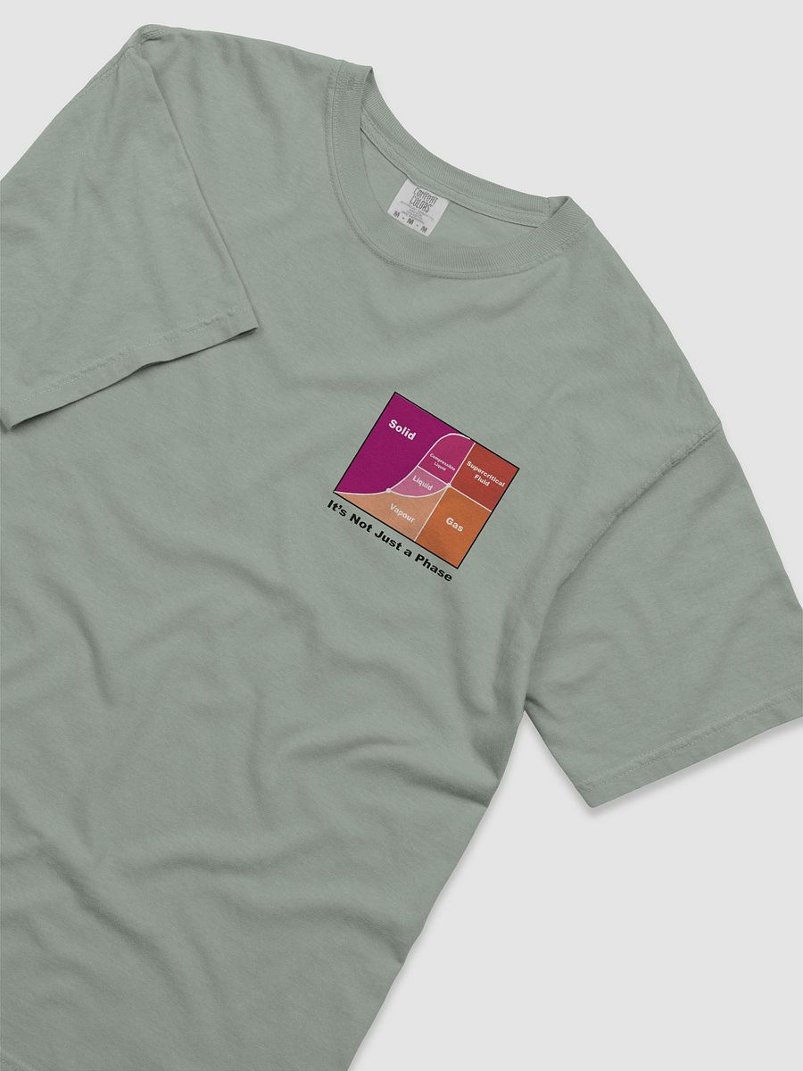 It's Not Just a Phase- Lesbian T Shirt product image (23)