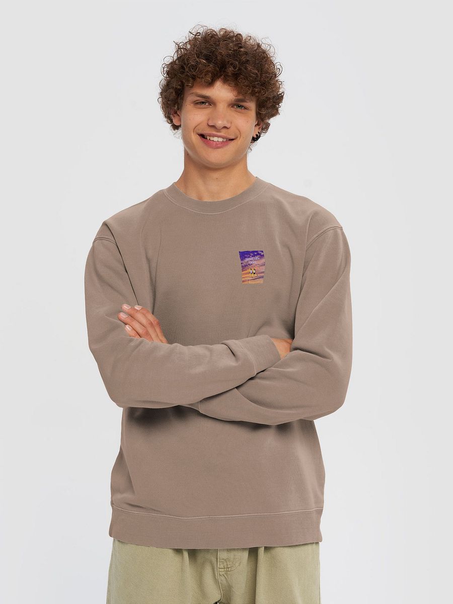 pierist view point product image (3)