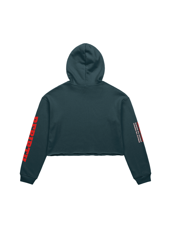 Rebirth Cropped Hoodie product image (2)