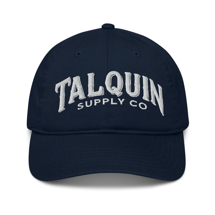 Organic Cotton Twill Logo Hat product image (3)