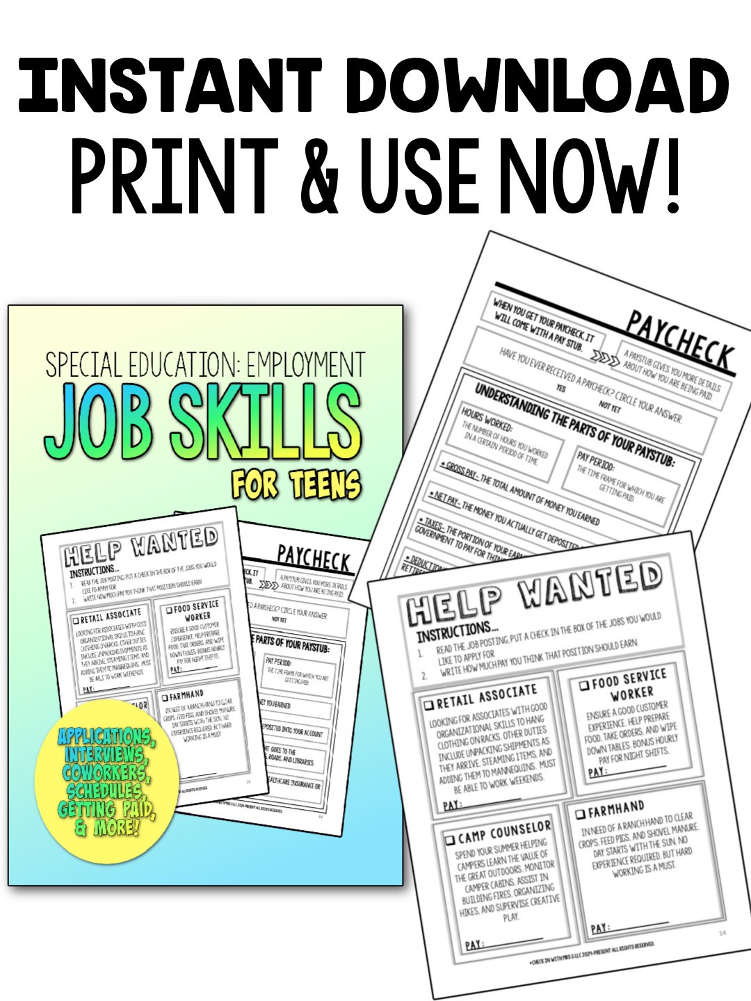 Employment: Job Skills Workbook- Instant Download product image (3)