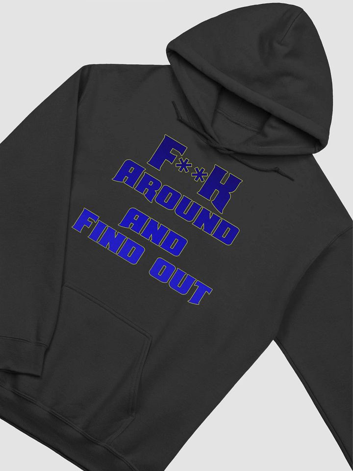 F Around Find Out Hoodie product image (1)