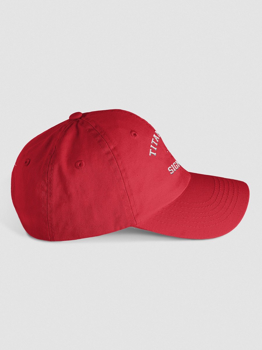Unisex Ball Cap - Titanic Town Brushketeer product image (32)