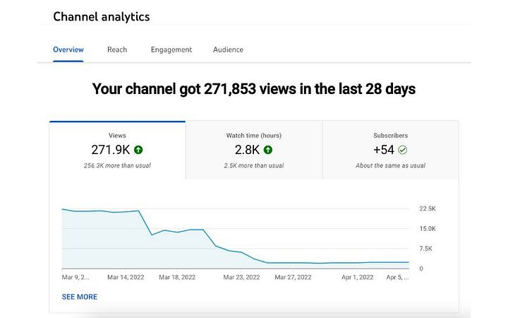 Video Monetization 1 Million Reach product image (1)