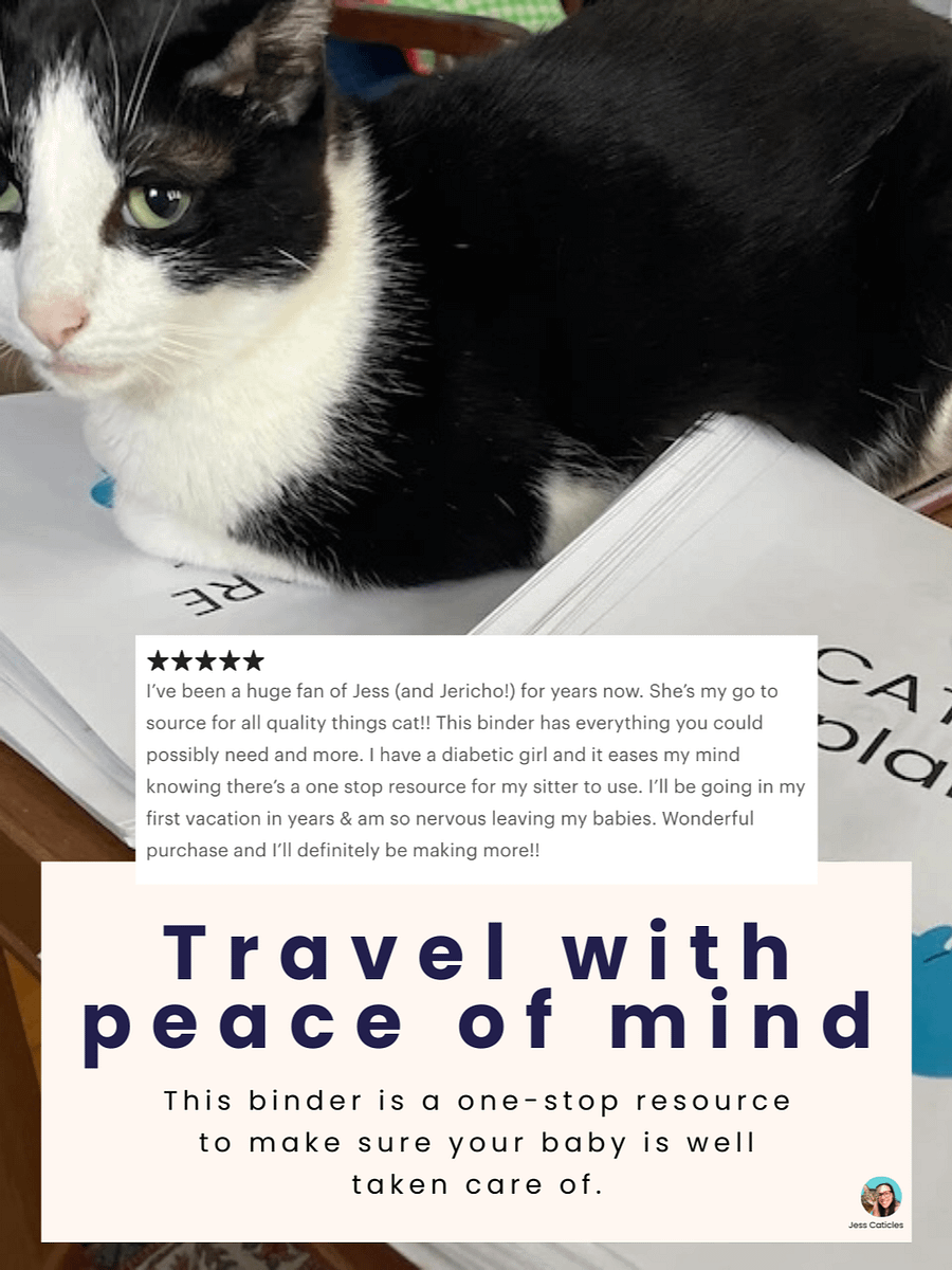 Black Cats & Flowers Cat Care Binder Printable product image (6)