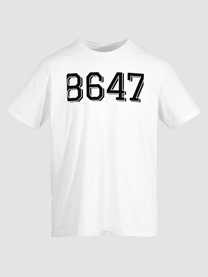 8647 Shirt product image (2)