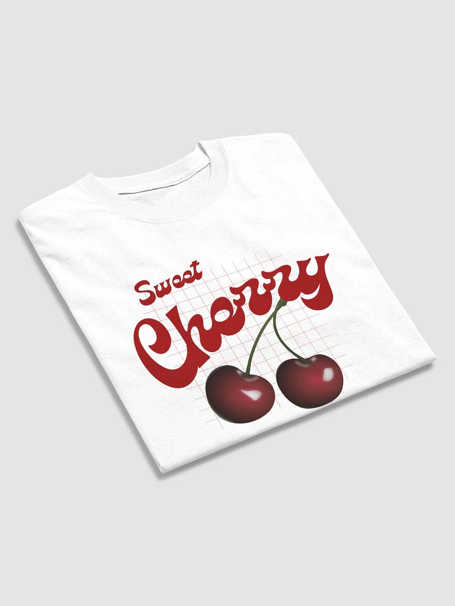 Streetwise Heavyweight Tee product image (17)
