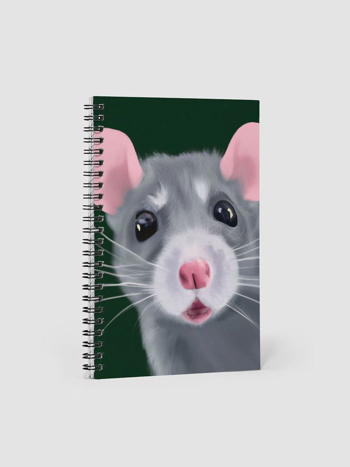 Blue girl rat diary product image (1)