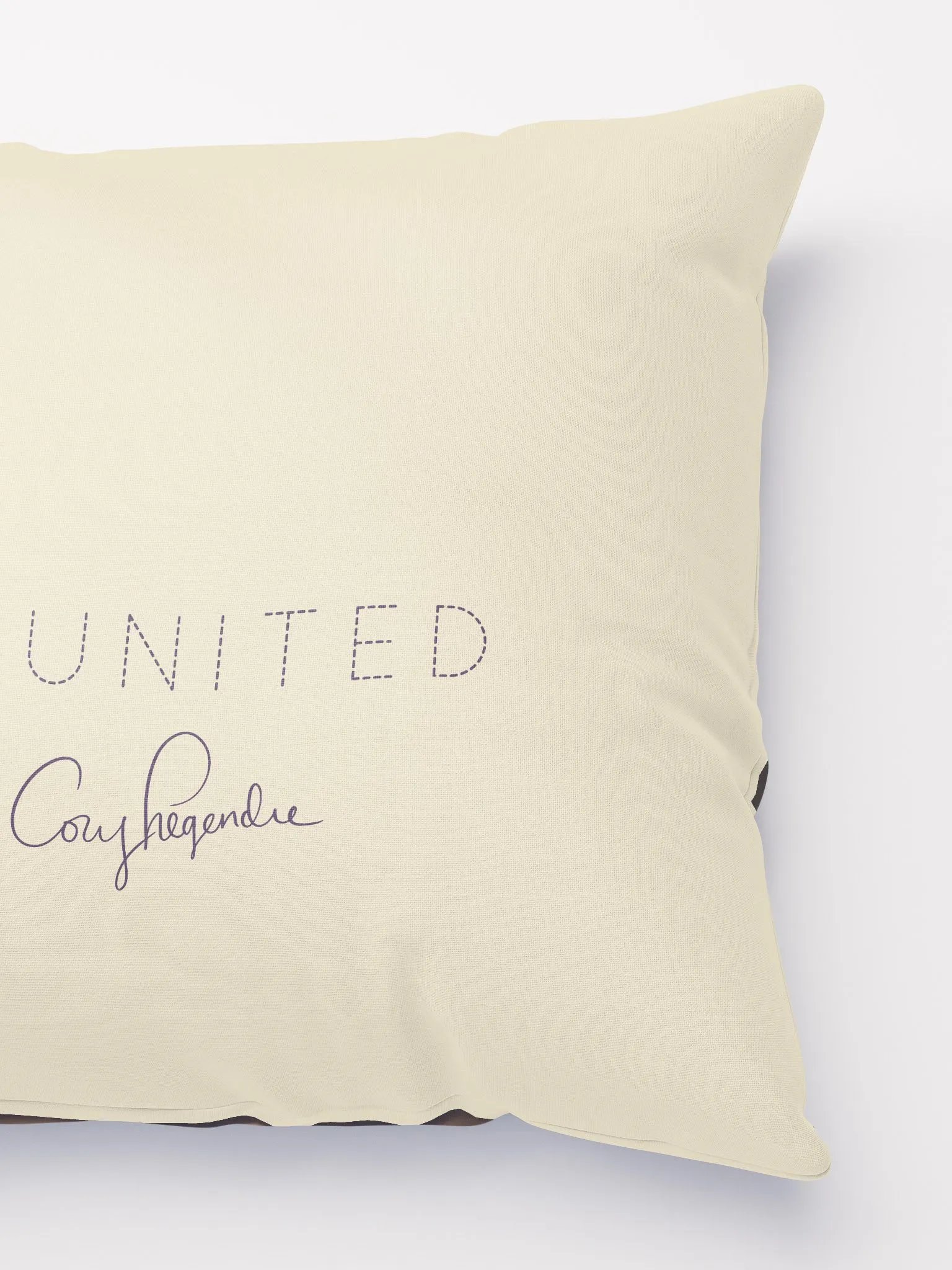 REUNITED: The Bridge Pillow product image (3)