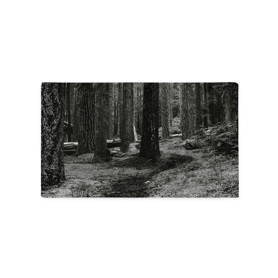 Hiking in the Buckhorn Wilderness Pillowcase product image (2)
