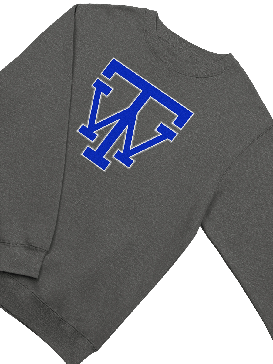 TW Logo Sweatshirt product image (2)
