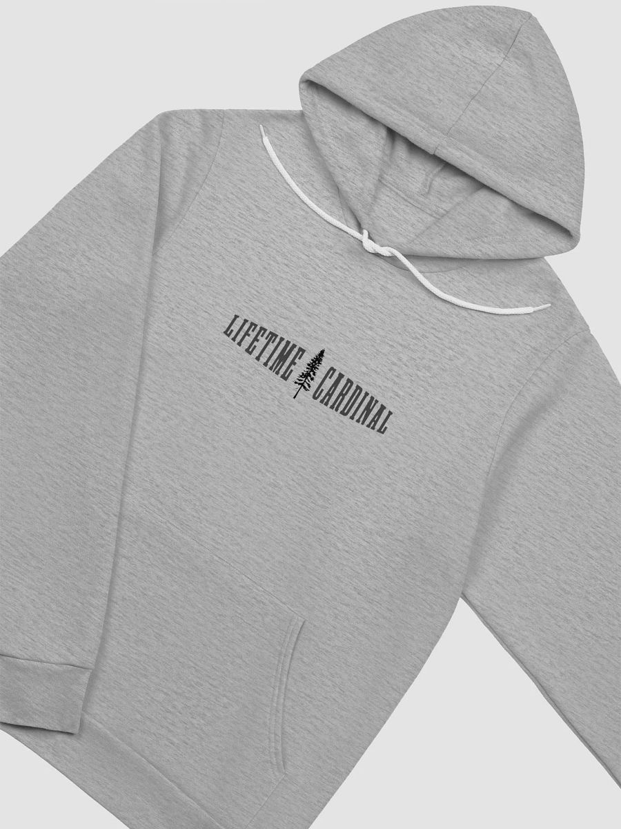 Limited Edition Hoodie - Gray product image (4)