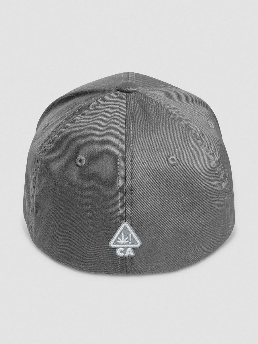 HA9N Official Logo Embroidered Premium Fitted Hat product image (4)