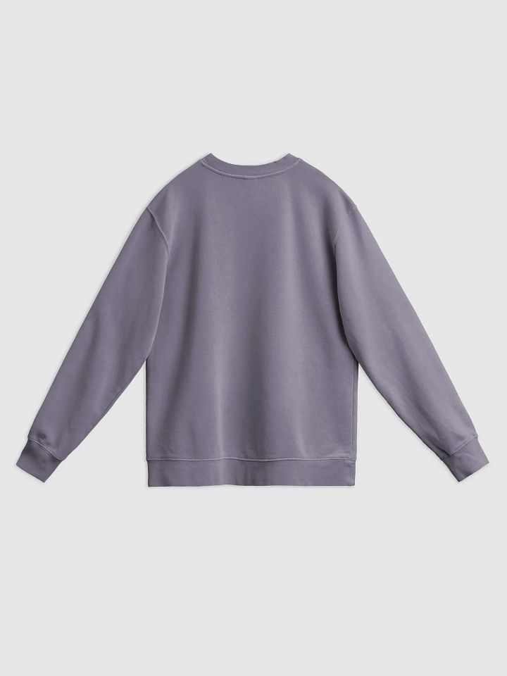DELIGHTFULLY DIVISIVE (lg. white design) printed pigment crewneck product image (20)
