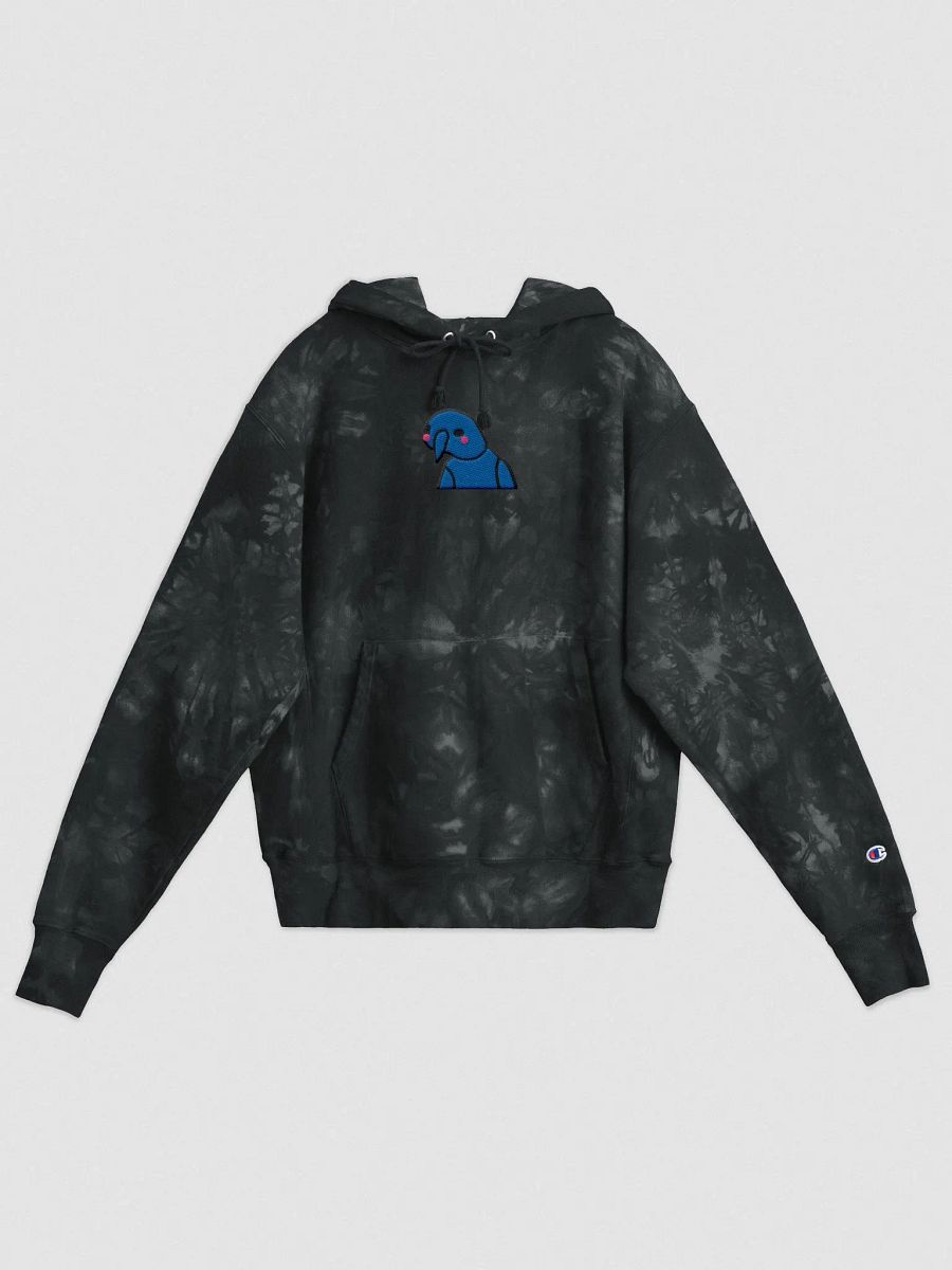 BlushSki Embroided Champion Hoodie product image (1)
