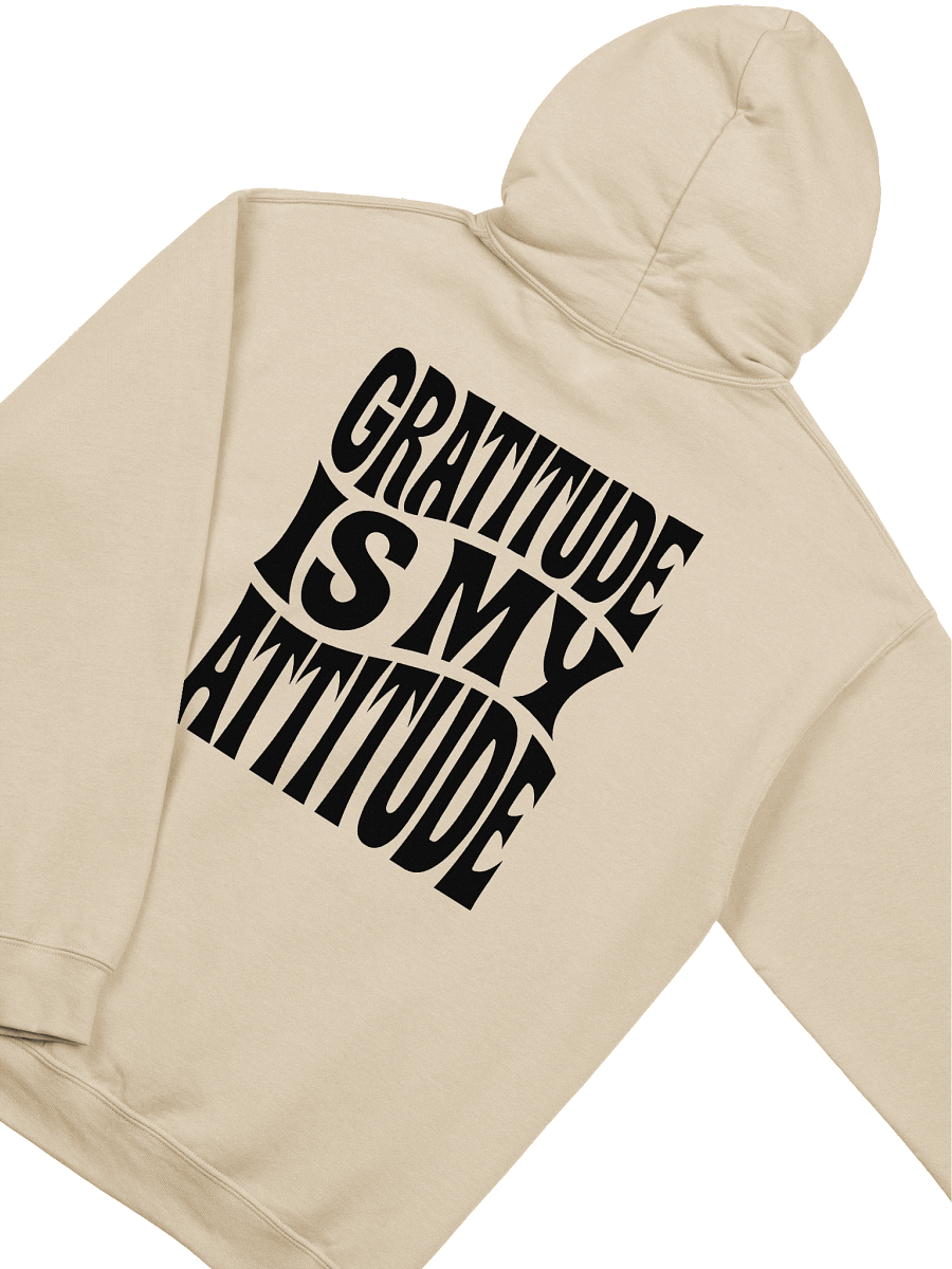 Gratitude Is My Attitude Hoodie product image (3)