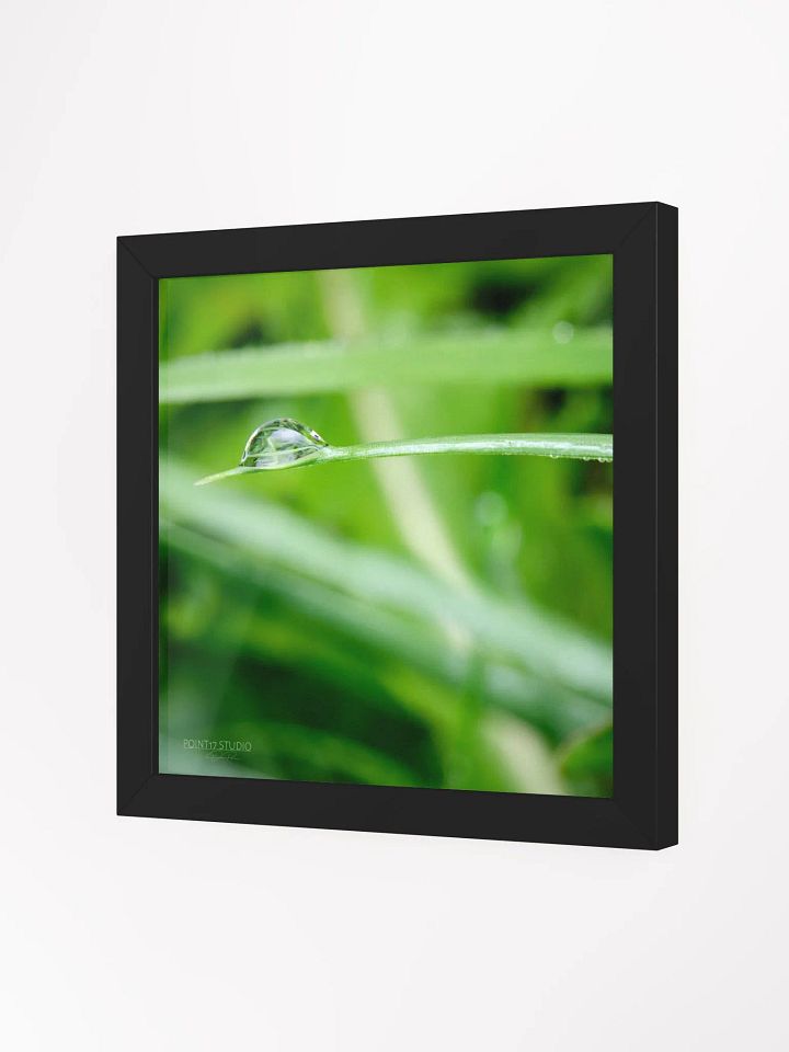 Dew Gems #10 - Framed Print product image (2)