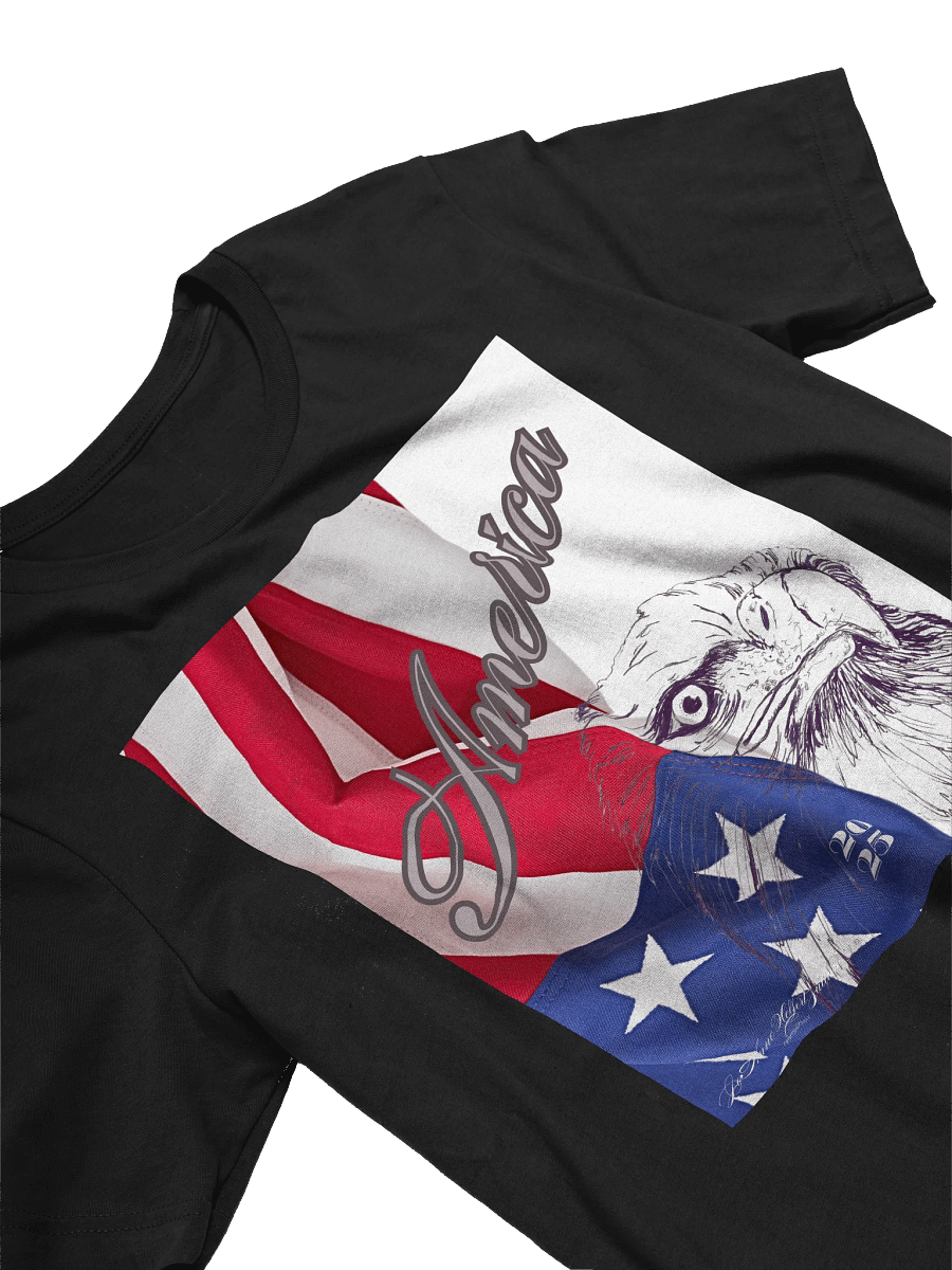 2025 American Pride Collection T- Shirt product image (17)