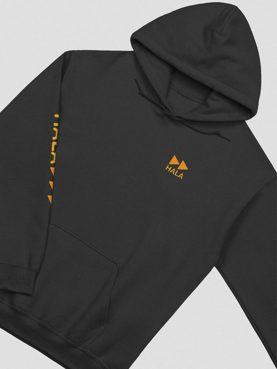 HalaCG.exe Hoodie - Unisex product image (5)
