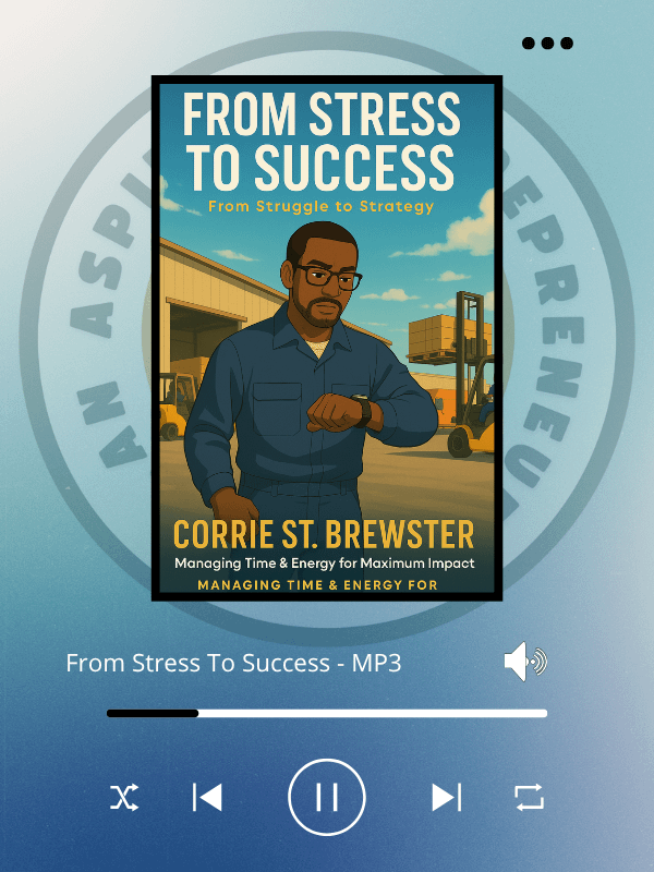 From Stress To Success product image (1)